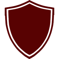 Shield Icon